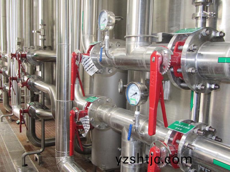 飲料(liao)廠20m3ph純水係統(tong)