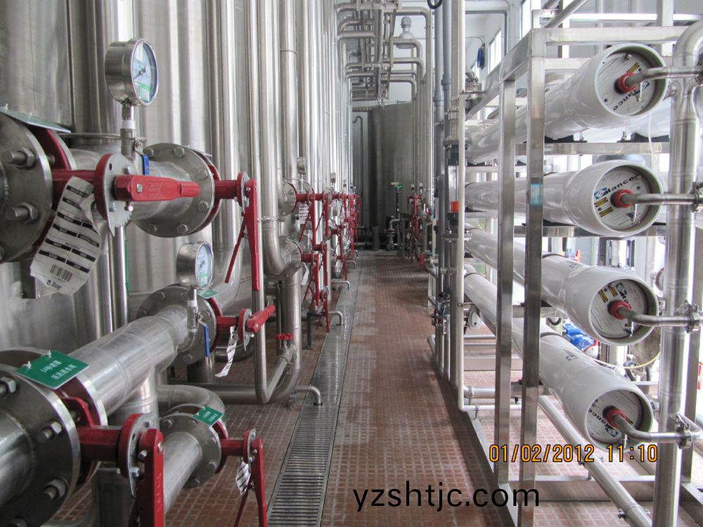 飲料廠20m3ph純(chun)水係統